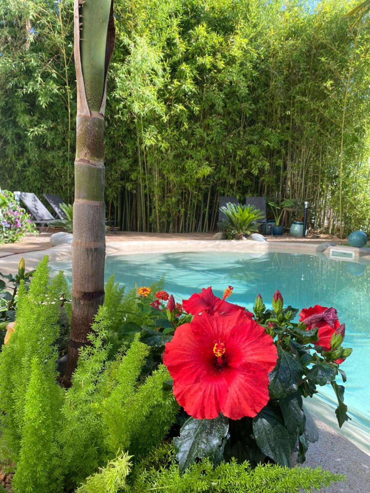 Appt Ambiance Boheme 2 Ch Piscine Lagon Apartment ตาร์บ ภายนอก รูปภาพ